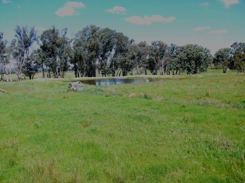 Manildra NSW 2865