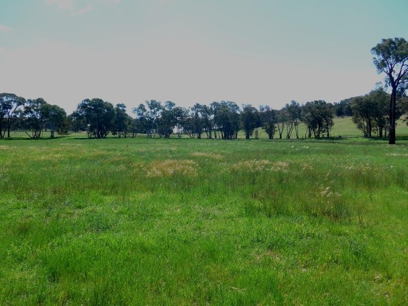 Manildra NSW 2865