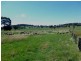 Manildra NSW 2865
