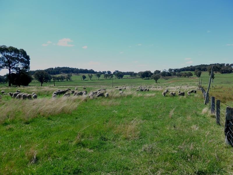 Manildra NSW 2865