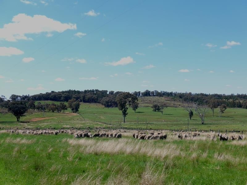 Manildra NSW 2865