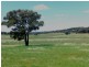 Manildra NSW 2865
