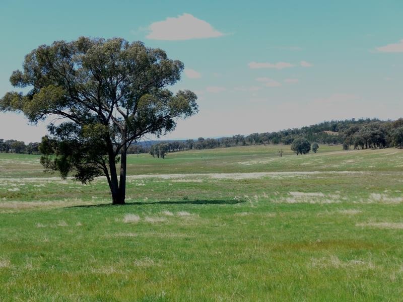 Manildra NSW 2865