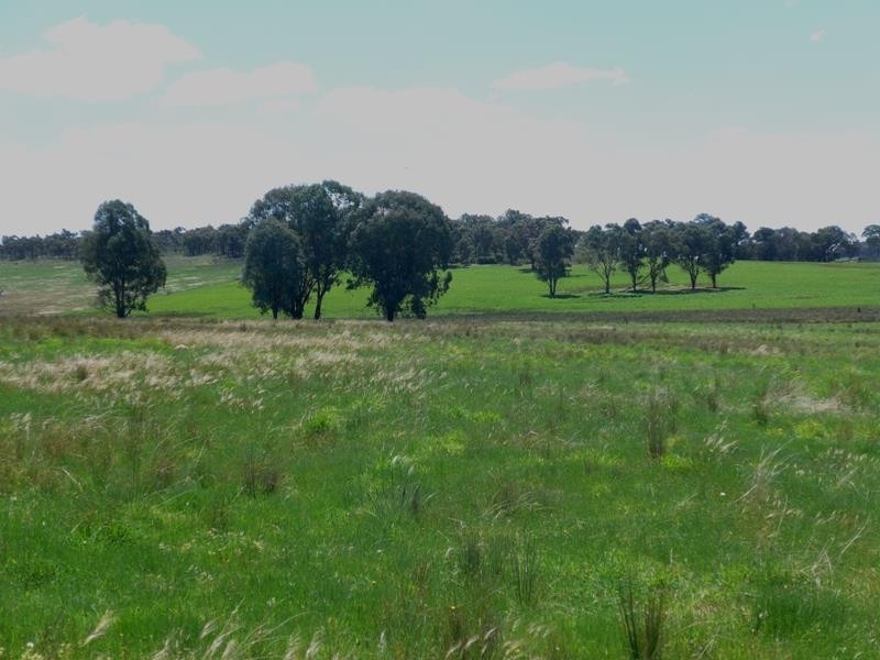 Manildra NSW 2865