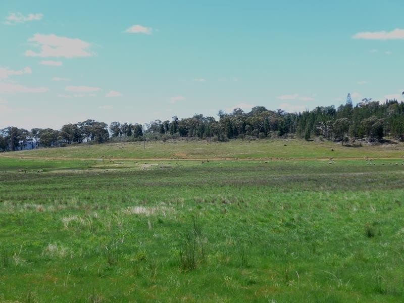 Manildra NSW 2865