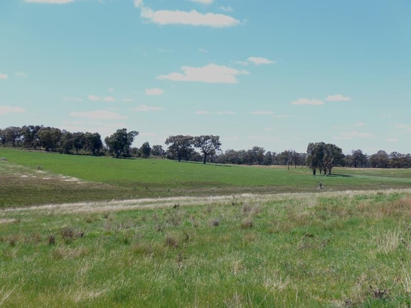 Manildra NSW 2865