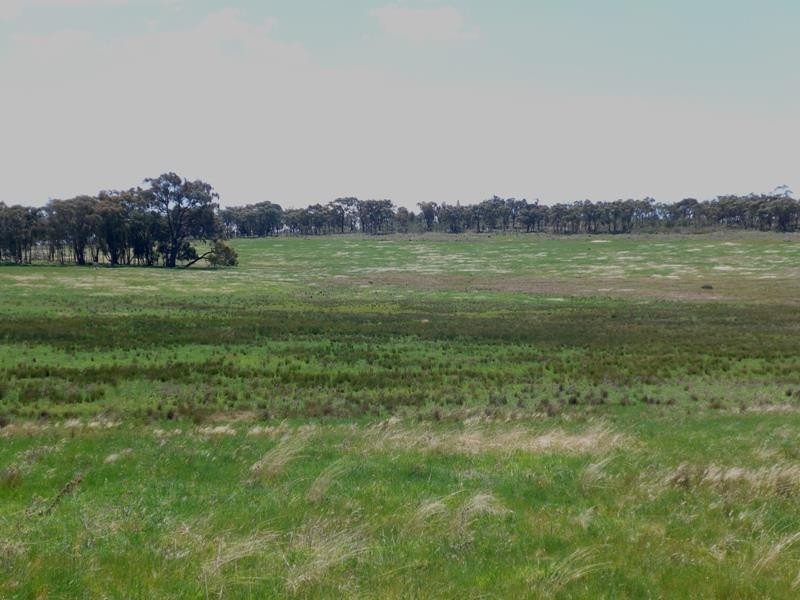 Manildra NSW 2865