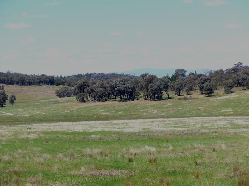Manildra NSW 2865