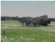 Manildra NSW 2865