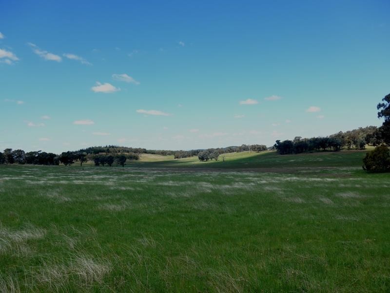 Manildra NSW 2865