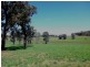 Manildra NSW 2865