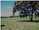 Manildra NSW 2865