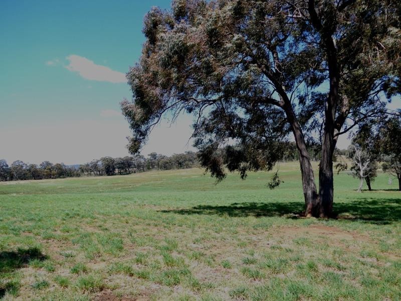 Manildra NSW 2865