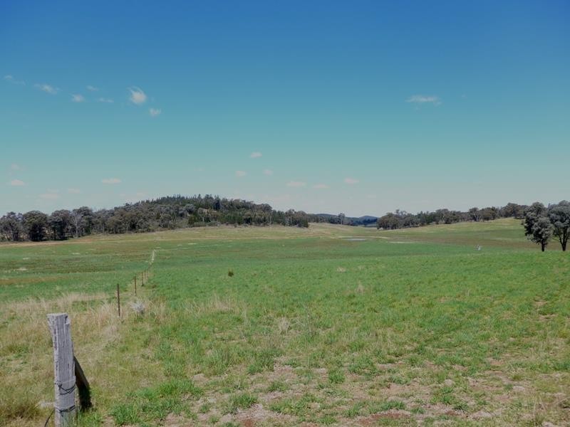 Manildra NSW 2865