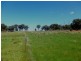 Manildra NSW 2865