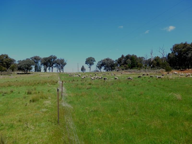 Manildra NSW 2865