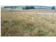 Millthorpe NSW 2798