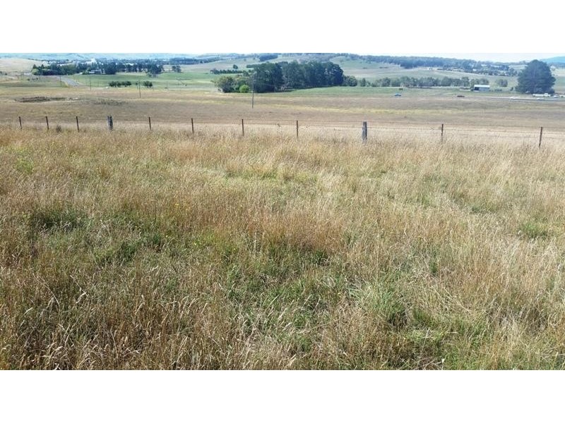 Millthorpe NSW 2798