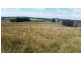 Millthorpe NSW 2798