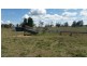 Millthorpe NSW 2798