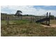 Millthorpe NSW 2798