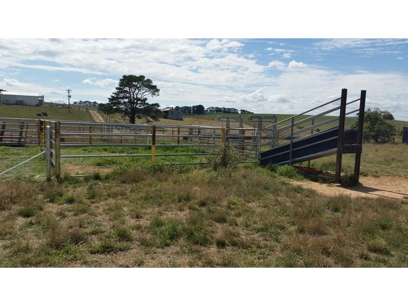 Millthorpe NSW 2798