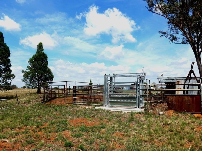Dubbo NSW 2830
