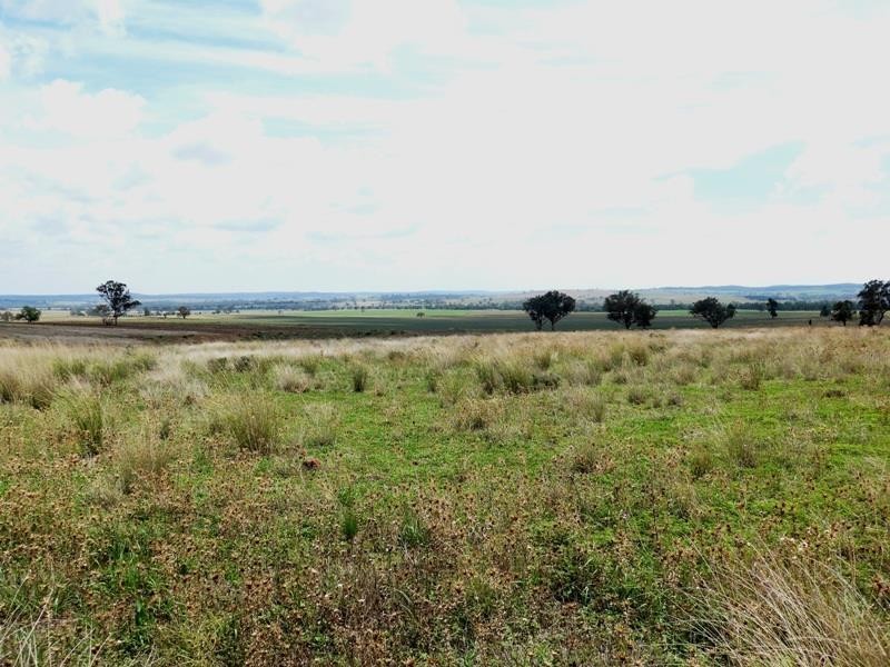 Dubbo NSW 2830