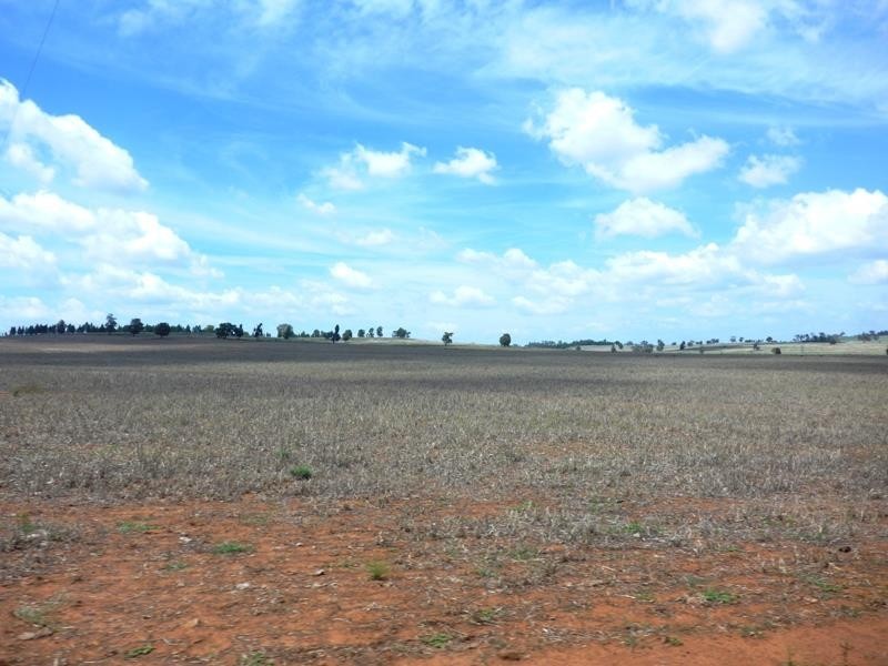 Dubbo NSW 2830