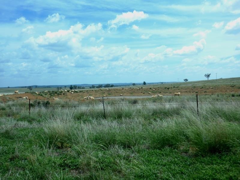 Dubbo NSW 2830