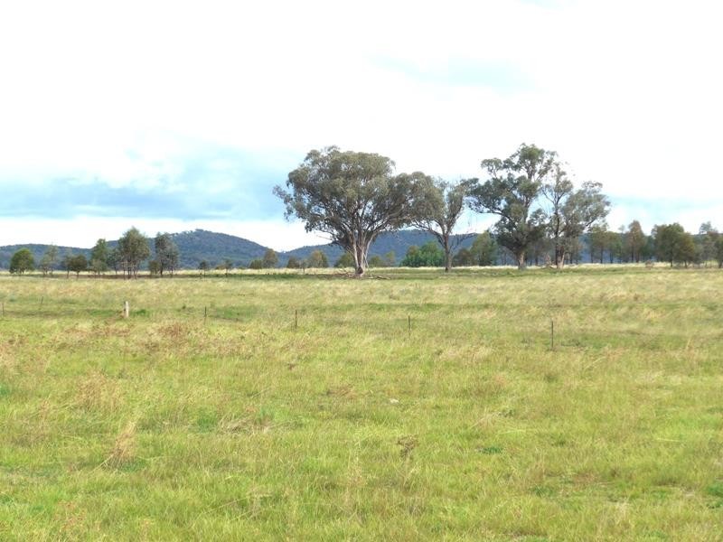 Yeoval NSW 2868