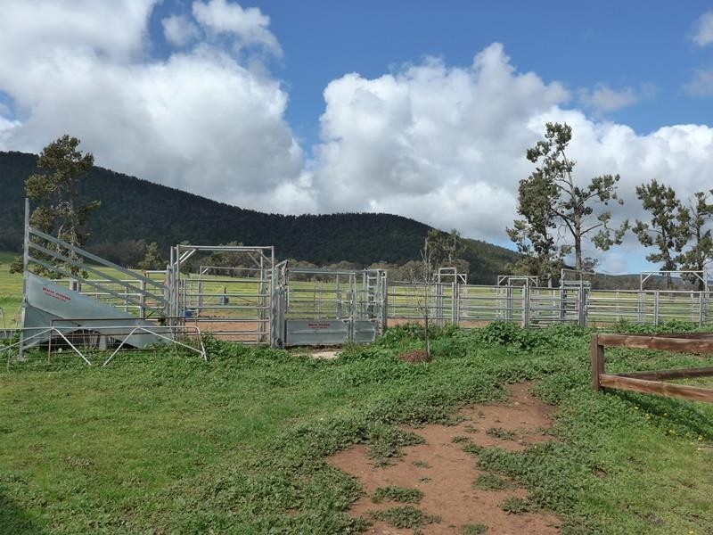 Murga NSW 2864