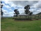 Murga NSW 2864