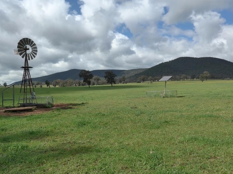 Murga NSW 2864