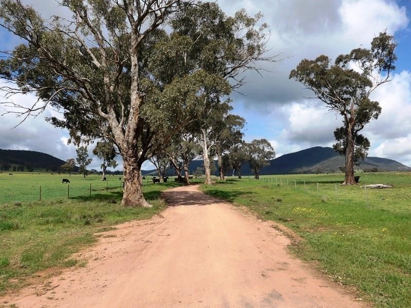 Murga NSW 2864
