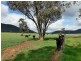 Murga NSW 2864