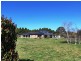Orange NSW 2800