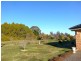 Orange NSW 2800