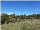 Orange NSW 2800