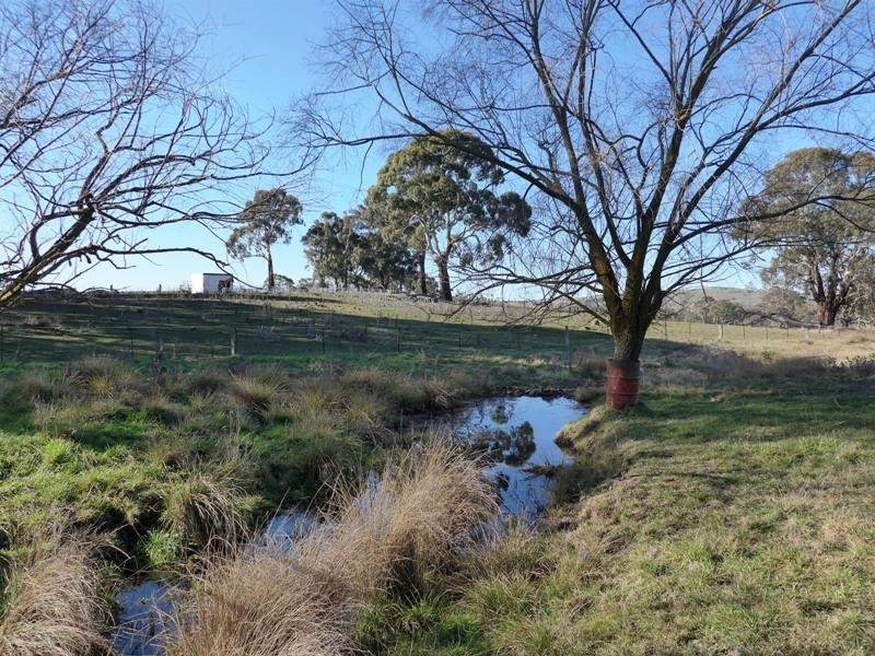 Orange NSW 2800
