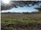 Orange NSW 2800