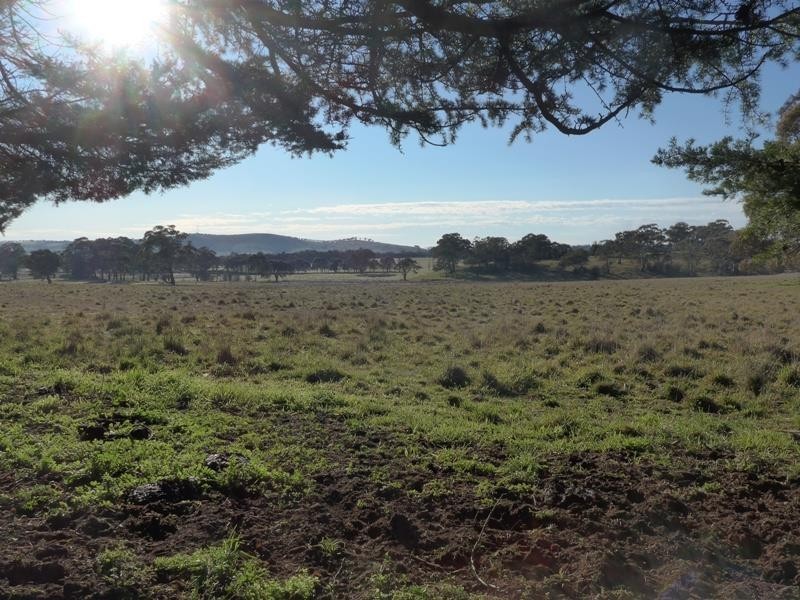 Orange NSW 2800