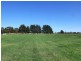 Orange NSW 2800