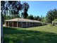 Orange NSW 2800