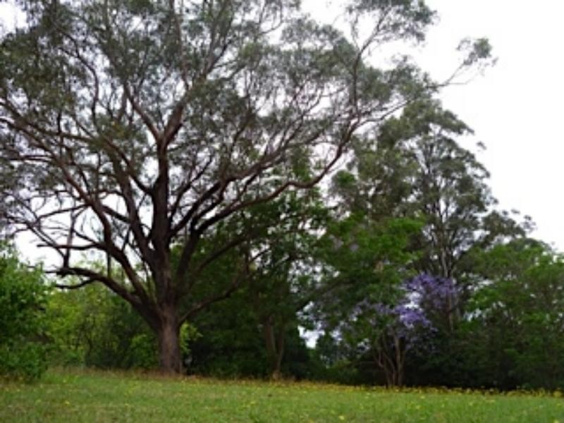 32 Glenvale Cl, West Pennant Hills NSW 2125