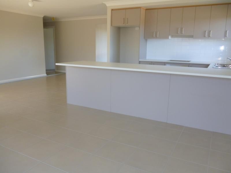 17A Dewpoint Dr, Spring Farm NSW 2570