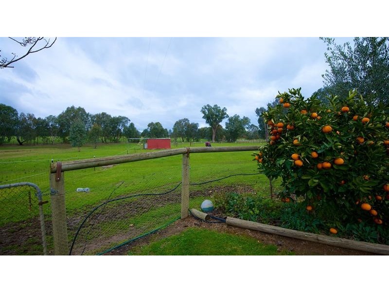 1156 Table Top Rd, Table Top NSW 2640