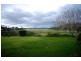 1156 Table Top Rd, Table Top NSW 2640