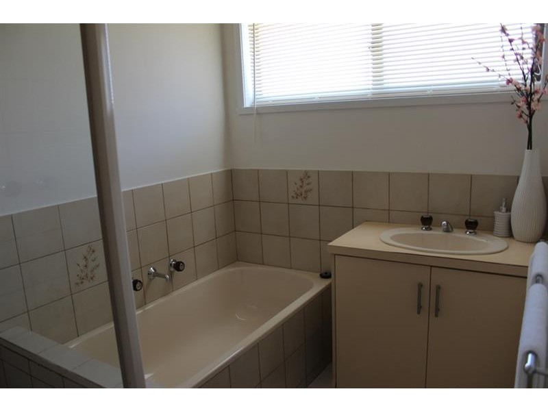 1/379 Parnall St, Lavington NSW 2641