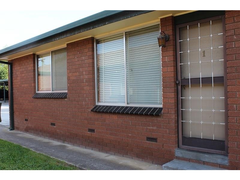 1/516 Alldis Avenue, Lavington NSW 2641